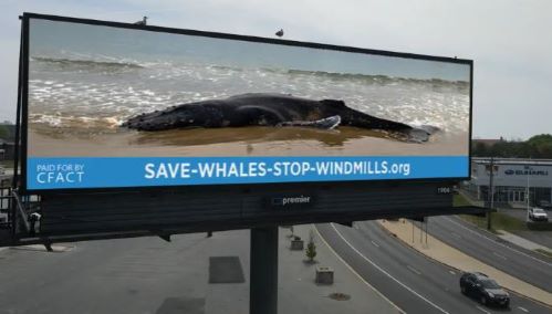Save Whales Stop Windmills - 2.JPG